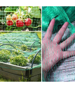 Rete Anti Uccelli Verde In Polietilene Protezione Giardino Orto Piante 2 X 10 Mt         