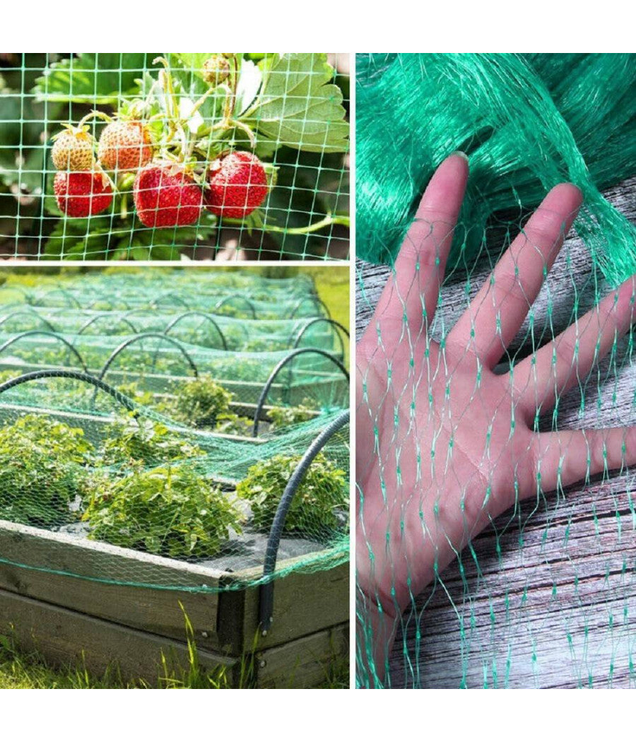 Rete Anti Uccelli Verde In Polietilene Protezione Giardino Orto Piante 2 X 10 Mt         