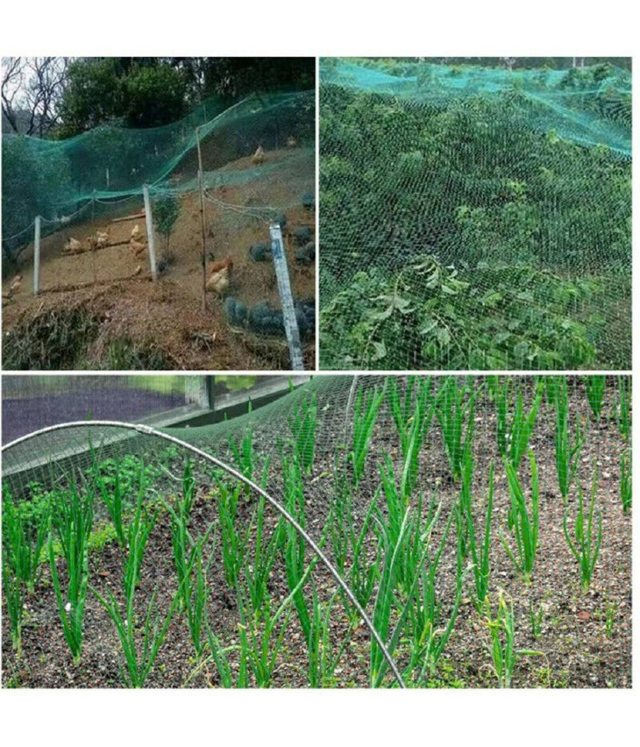 Rete Anti Uccelli Verde In Polietilene Protezione Giardino Orto Piante 2 X 10 Mt         