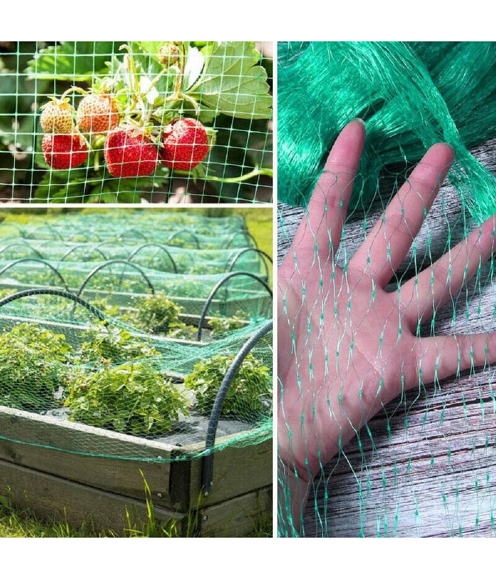 Rete Anti Uccelli Verde In Polietilene Protezione Giardino Orto Piante 2 X 10 Mt         