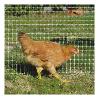 Rete Avicola, colore GRIGIO, maglia 27x24 mm, 1x10 metri