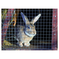 Trade Shop - Rete In Filo Di Ferro Elettrosaldato 1x10 Mt Maglia 19x19 Mm Grn60 Recinzione 51514 -        