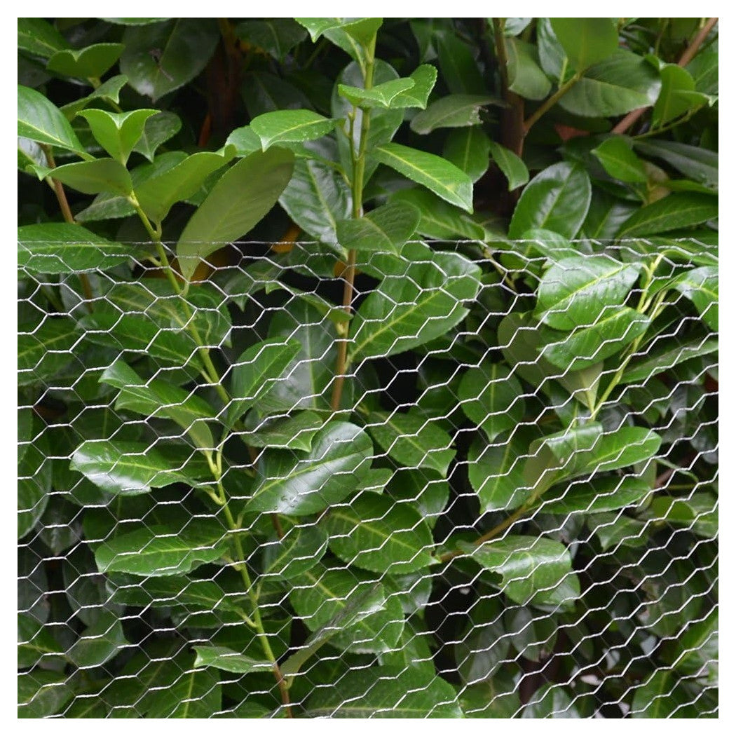 Trade Shop - Rete Metallica Zincata A Maglia Esagonale 16mm 1x10mt Recinzione Protezione Grn61 04318 -        