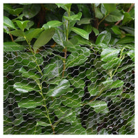 Trade Shop - Rete Metallica Zincata A Maglia Esagonale 16mm 1x10mt Recinzione Protezione Grn61 04318 -        