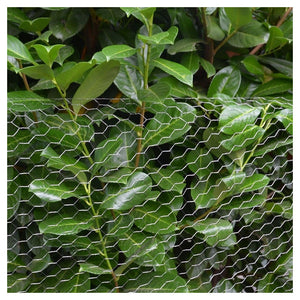 Trade Shop - Rete Metallica Zincata A Maglia Esagonale 16mm 1x10mt Recinzione Protezione Grn61 04318 -        