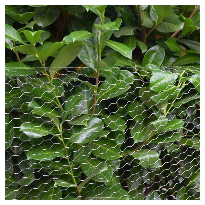 Trade Shop - Rete Metallica Zincata A Maglia Esagonale 16mm 1x10mt Recinzione Protezione Grn61 04318 -        