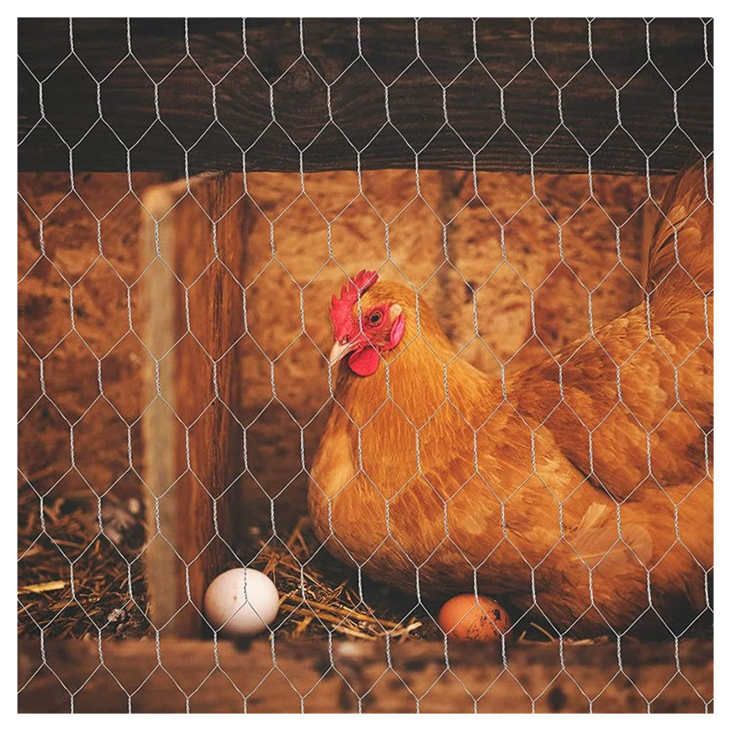 Trade Shop - Rete Metallica Zincata A Maglia Esagonale 16mm 1x10mt Recinzione Protezione Grn61 04318 -        