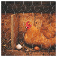 Trade Shop - Rete Metallica Zincata A Maglia Esagonale 16mm 1x10mt Recinzione Protezione Grn61 04318 -        