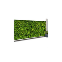 IDMarket - Rete ombreggiante 2x10m, telo rotolo per recinzione giardino 160g/m², stampa fogliame