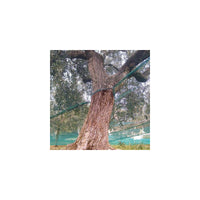 Rete per Olive con Apertura Telo Rinforzato e Occhiellato Tessuto Antispina 12x12 mt