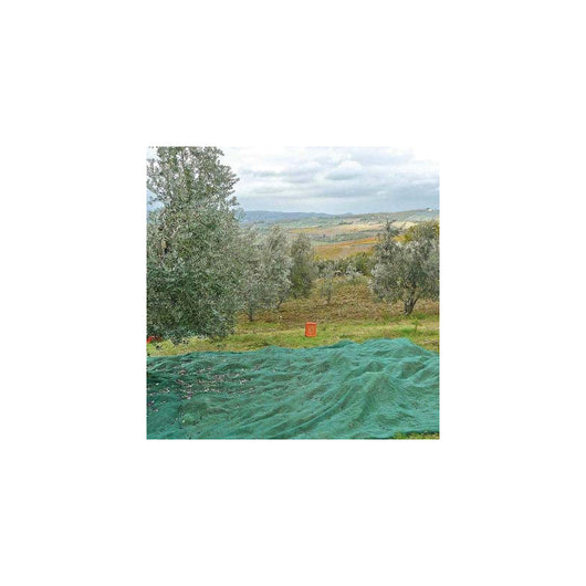 Rete per Olive Telo Intero Rinforzato e Occhiellato Tessuto Antispina 6x12 mt