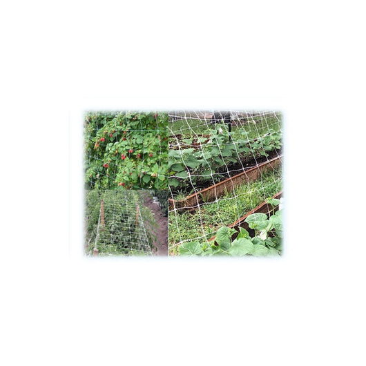 Rete plastificata da giardino H153 cm 1000 m maglia 140×170 – Brixo Ortonet