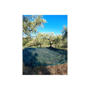 Rotolo Rete per Raccolta Olive Rinforzata Tessuto Antispina 50 mt H6