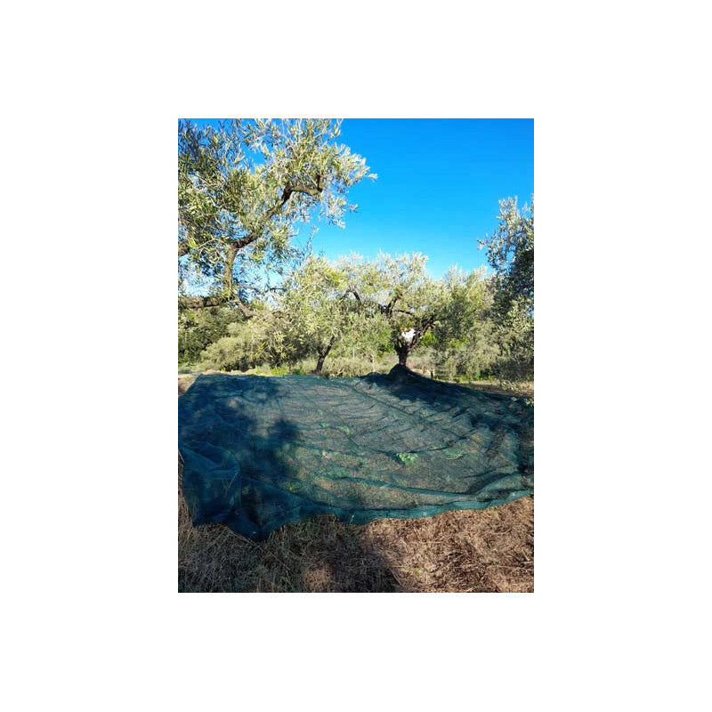 Rotolo Rete per Raccolta Olive Rinforzata Tessuto Antispina 50 mt H6
