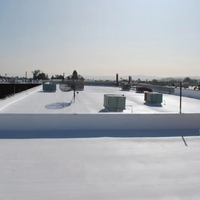 Guaina liquida impermeabilizzazione protezione riparazione balcone tetto bianca *** formato 18 kg, confezione 1