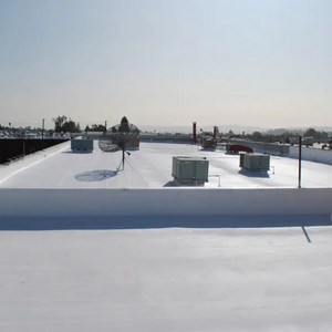 Guaina liquida impermeabilizzazione protezione riparazione balcone tetto bianca *** formato 18 kg, confezione 1