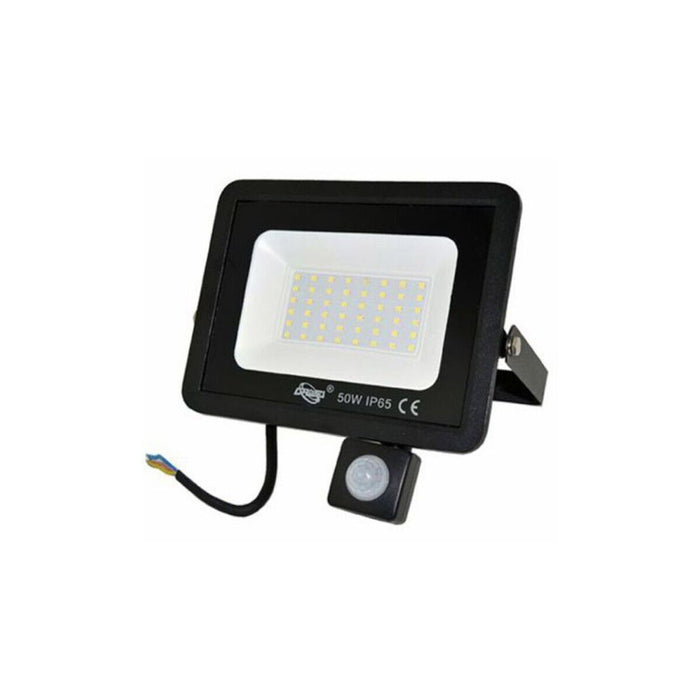 FARO LED FARETTO GIARDINO 50W LUCE FREDDA SENSORE MOVIMENTO CREPUSCOLARE