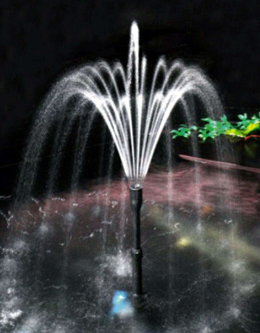 Pompa per fontana chiarificatrice per laghetti e 1000 litri all'ora 24 watt UVC 9 watt 16_0002005