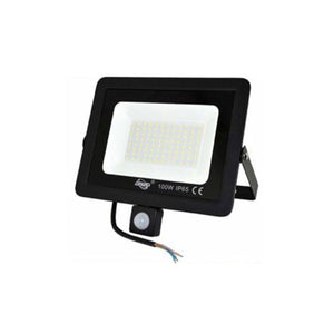 FARO LED FARETTO GIARDINO 100W LUCE FREDDA SENSORE MOVIMENTO CREPUSCOLARE