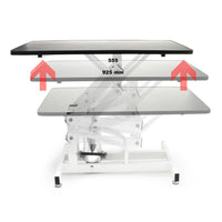 Tavolo da toelettatura idraulico pieghevole tavolo da toelettatura per cani e gatti tavolo da toelettatura 108 x 60 cm 16_0000534