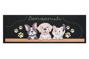 Zerbino Gomma Ecologica Ingresso Porta 25x60 cm Salvagradino Asciugapassi Antiscivolo Dis_B