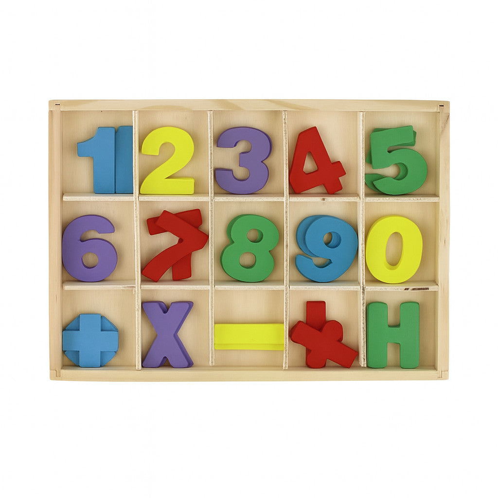 GIOCO EDUCATIVO LEGNO NUMERI COLORI MATEMATICA BAMBINI MONTESSORI 21CM 07295