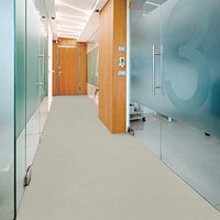 Pavimento Pvc Rivestimento Rotolo Vinile 100x550 cm Effetto Marmo Pietra Granito Dis_B