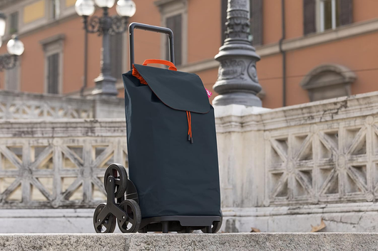 trolley portaspesa tris color.grey