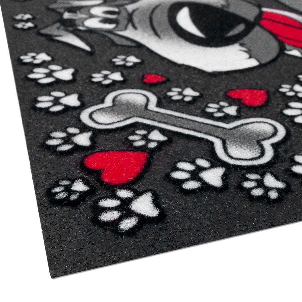 Zerbino Gomma Simpatico Tappeto Ingresso Asciugapassi Antiscivolo Made In Itay Dis.F