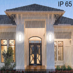 LAMPADA LED DA PARETE APPLIQUE OVALE 12W LUCE FREDDA 6000K INTERNI ESTERNI FC103