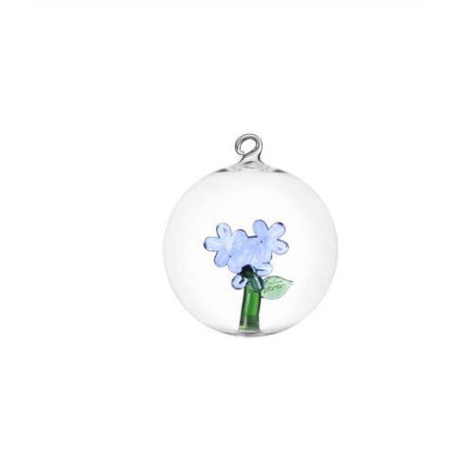 Palla di Natale fiore azzurro botanica