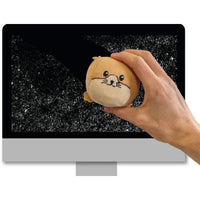 Anti-stress e pulitore schermi criceto