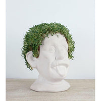 Busto in ceramica per coltivare semi di chia