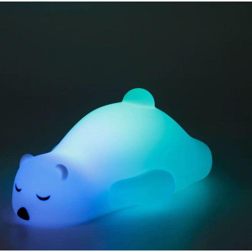 Luce notturna orso addormentato