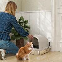 Lettiera per Gatti in Acciaio Inox con Coperchio Sacchetto Deodorante Paletta Facile da Pulire 52,4x41,3x39,9 cm Grigio