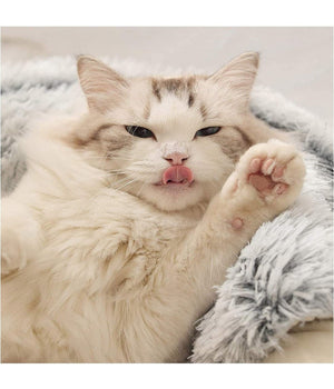 Sacco A Pelo Semi Chiuso Pelliccia Sintetica Morbido Per Gatti Cani Grigio 50cm         