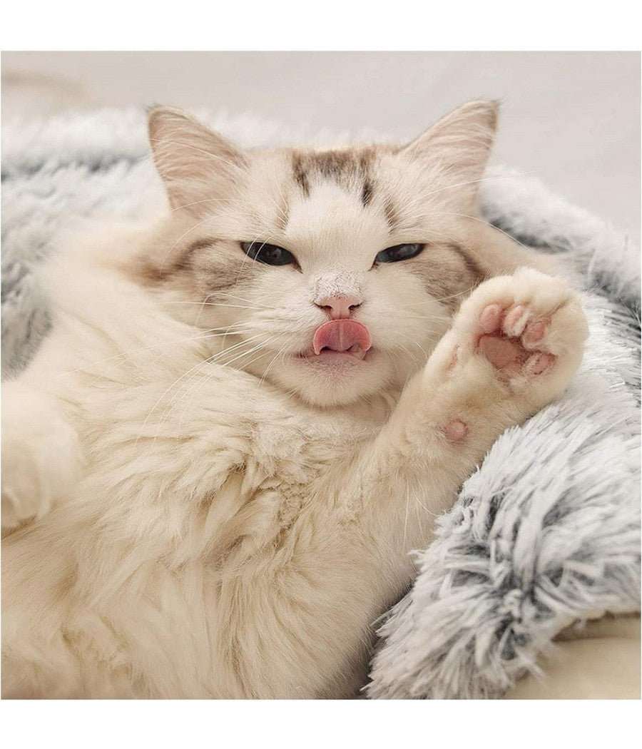 Sacco A Pelo Semi Chiuso Pelliccia Sintetica Morbido Per Gatti Cani Grigio 50cm         