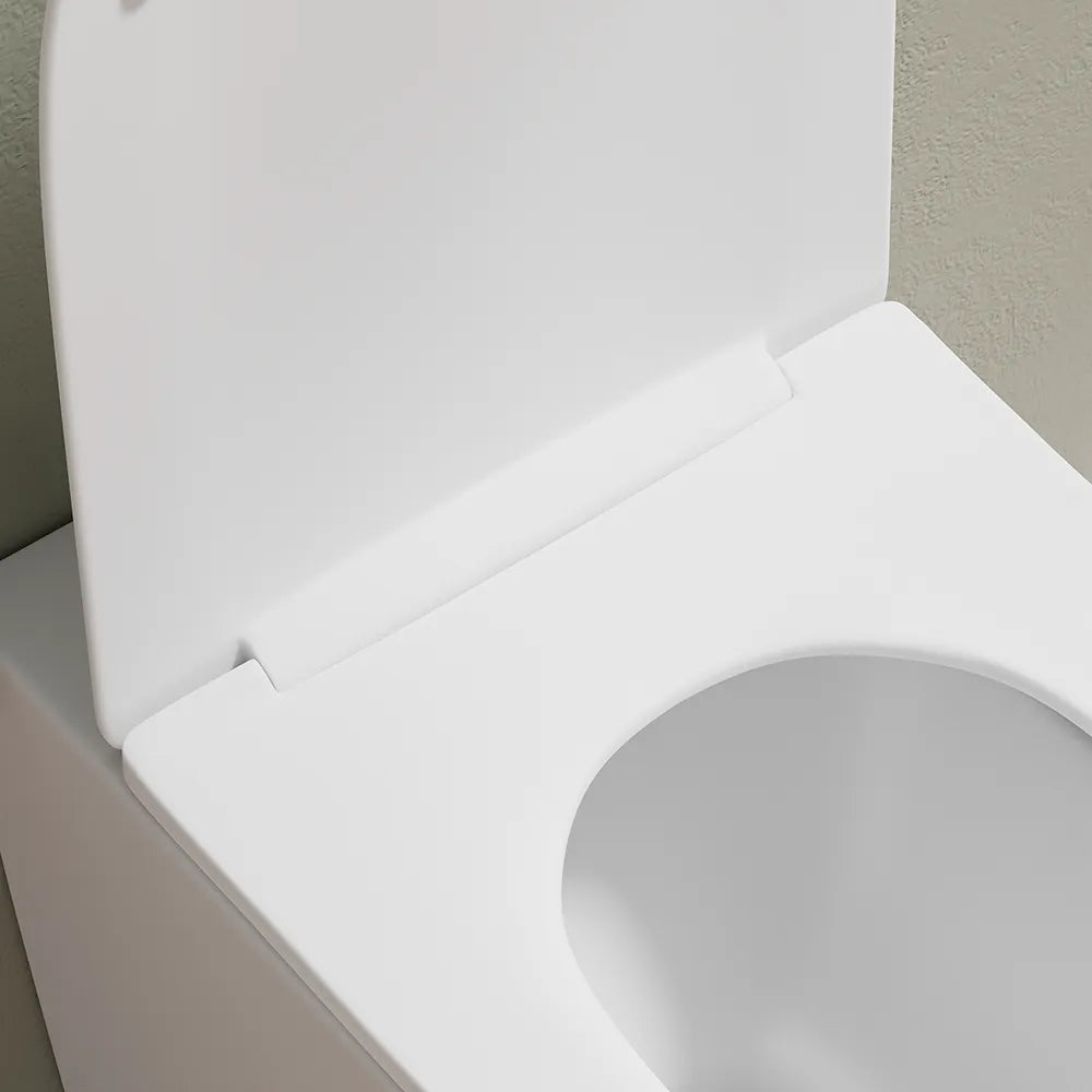 Vaso WC filomuro rimless in ceramica bianco opaco con sedile soft-close | Europa