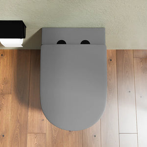 Vaso WC filomuro rimless in ceramica grigio opaco con sedile soft-close | Europa