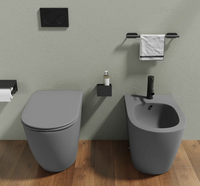Sanitari filomuro in ceramica grigio opaco vaso rimless con copriwc soft-close e bidet ASIA Regos
