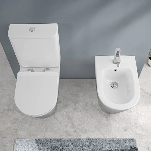 Sanitari filomuro monoblocco Rimless bianco con sedile copriwc Tygo