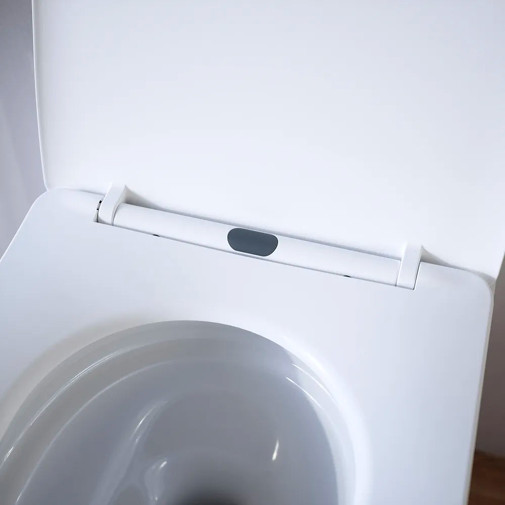 Vaso filomuro tornado silent flush in ceramica bianco lucido con copri-wc soft-close | Riga