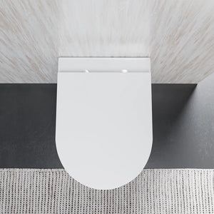 Vaso sospeso rimless in ceramica bianco lucido con sedile soft-close | Nassau