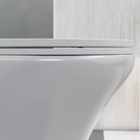 Vaso sospeso rimless in ceramica bianco lucido con sedile soft-close | Nassau