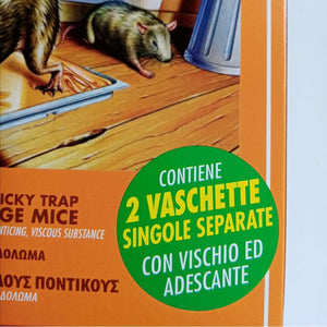 Saratoga top tak 2pz di trappola vischiosa con esca per ratti topi