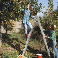 Scala pieghevole in alluminio con pioli e piedini antiscivolo, Scala multifunzione allungabile da 370,5cm-Scale e ponteggi