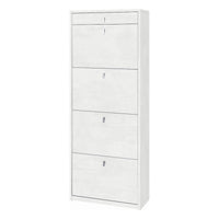 Scarpiera 4 Ante 1 Cassetto P29 Kit Ossido Bianco cm 63x29x164h - Sarmog