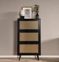 Scarpiera Arendal con 3 cassetti in finitura Nero opaco con dettagli Oro,  ZFRVIENNSCP