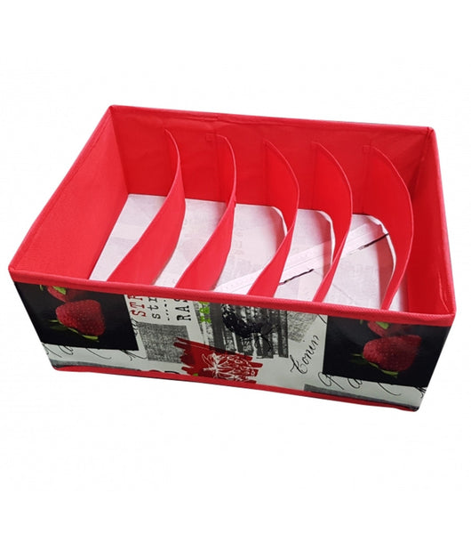 Scatola Box 32x24x12 Cm 6 Comparti Biancheria Oggetti Contenitore Salvaspazio         