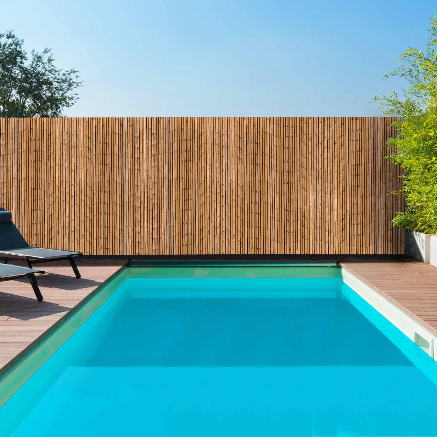 IDMarket - Schermo oscurante 1,8 x 10 M stampato in bambù 160 gr /m²